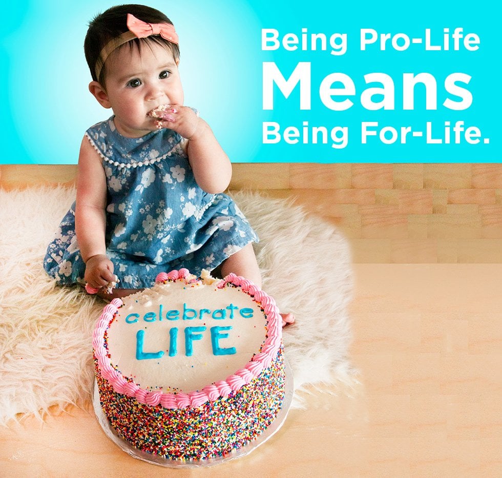 Pro Life Meaning: What Does It Mean to Be Pro Life? - Save the Storks ...