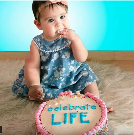 Save-the-Storks-Celebrate-Life-Cake-Response-Miley-Cyrus-Abortion-Healthcare-Cake-Instagram